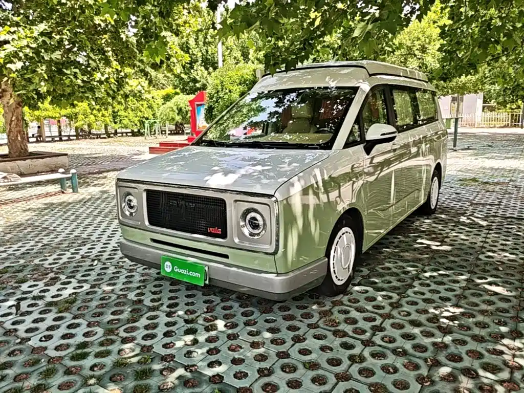 BAW (Beijing Automobile Works) vala - Freedom Kingdom 2025 Model Pure Electric Pro