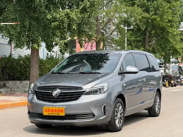 Buick GL8 2021 Land Business Class 652T Premium