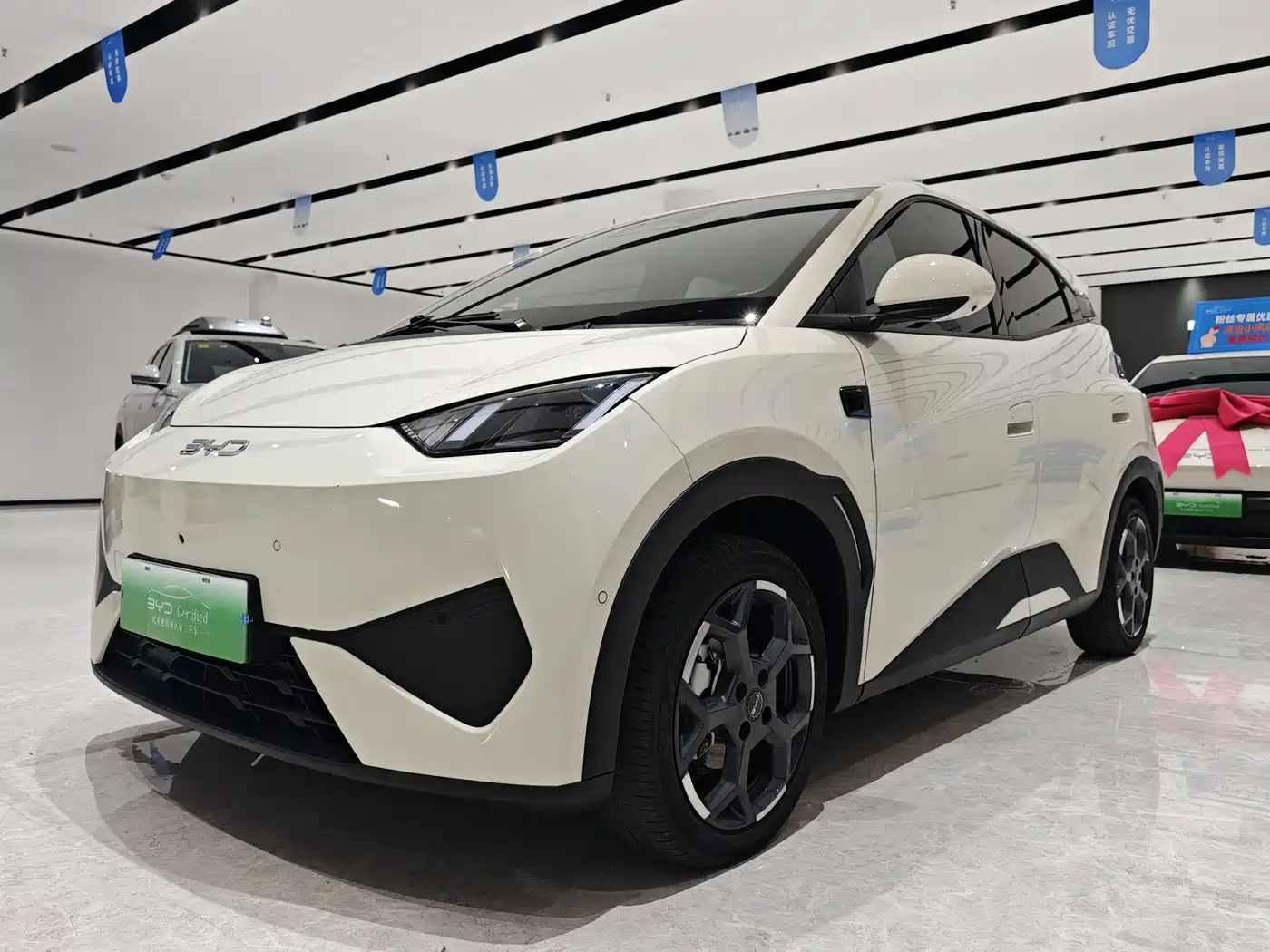 BYD Seagull 2025 Smart Drive Edition 305km Freedom Version