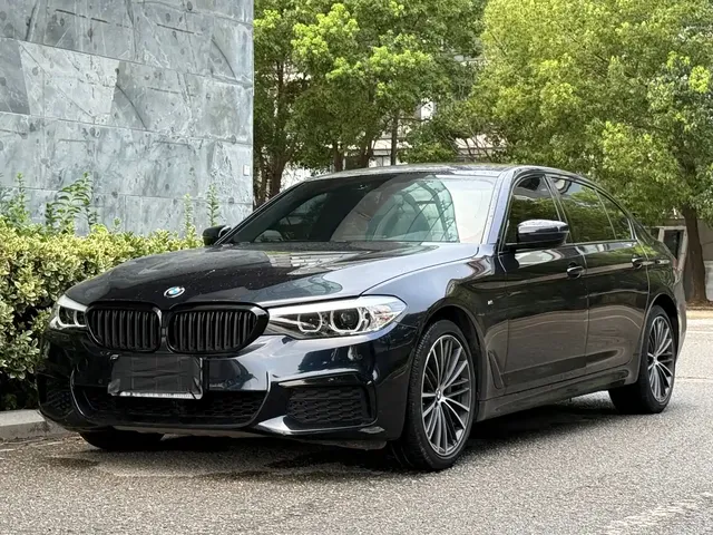 BMW 5 Series 2019 530Li Leading M Sport Package