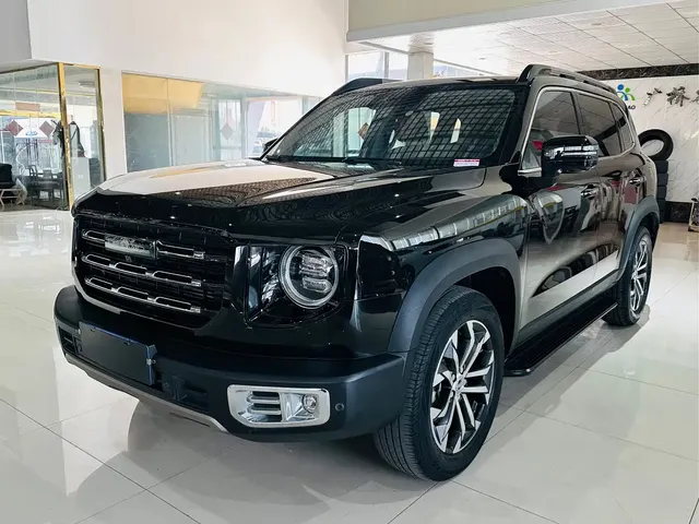 Haval Big Dog 2021 1.5T DCT 2WD Border Collie Edition