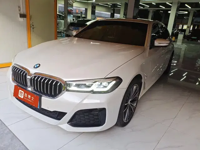 BMW 5 Series 2021 530Li Leading M Sport Package