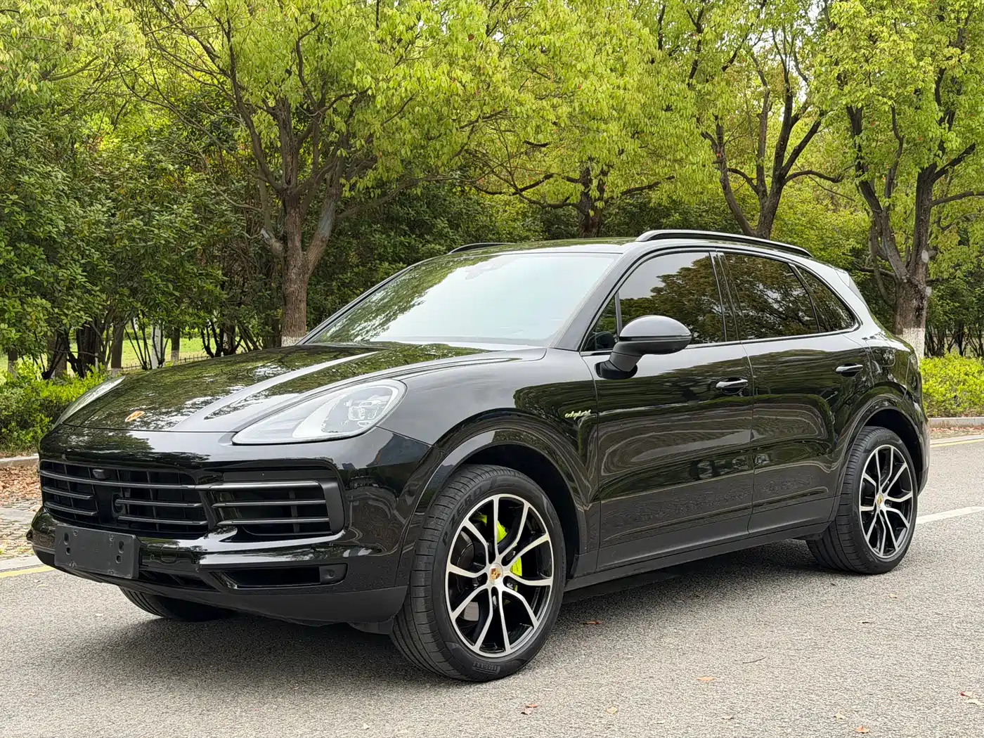 Porsche Cayenne New Energy 2022 Cayenne E-Hybrid 2.0T Platinum Edition