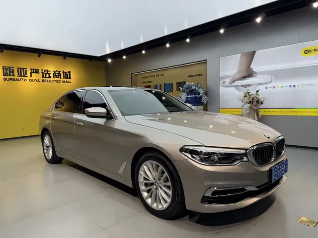BMW 5 Series 2020 530Li Premium Luxury Package