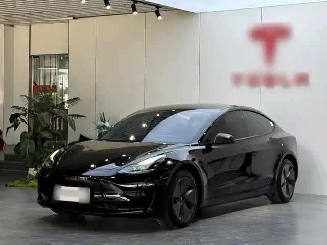 Tesla Model 3 2022 Model Rear-Wheel Drive Version