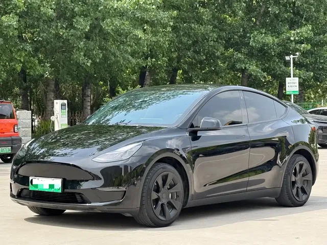 Tesla Model Y 2021 Standard Range Rear-Wheel Drive