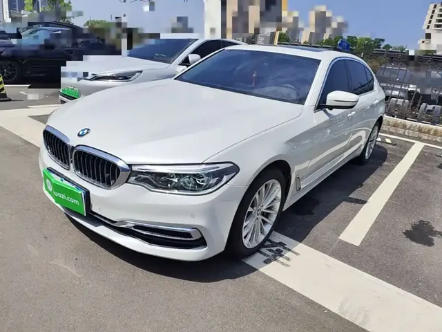 BMW 5 Series 2020 530Li xDrive Luxury Package