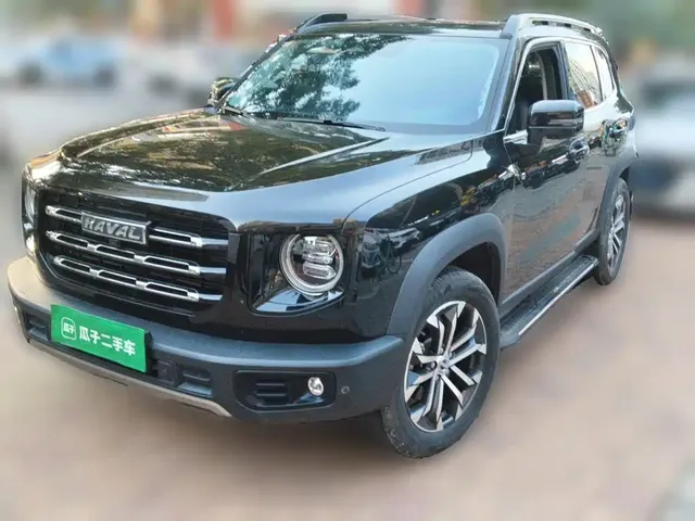 Haval Big Dog 2021 1.5T DCT 2WD Border Collie Edition