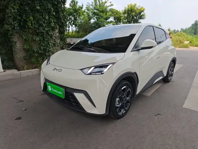 BYD Seagull 2025 305km Freedom
