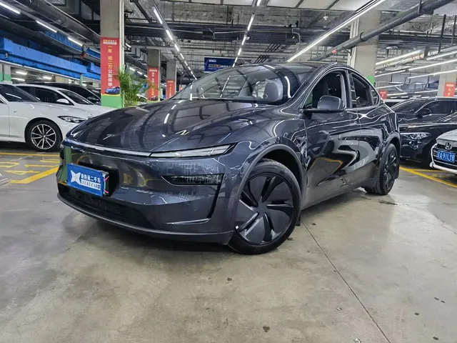 Tesla Model Y 2025 Model Rear-Wheel Drive Launch Edition