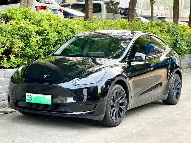 Tesla Model Y 2022 Rear-Wheel Drive Version