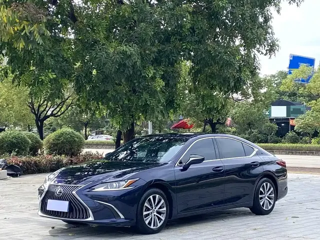 Lexus ES 2018 200 Luxury Edition China VI