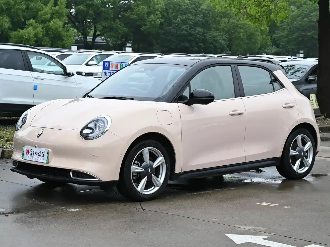 Ora Good Cat 2021 400km Standard Range Athena Edition (NCM)
