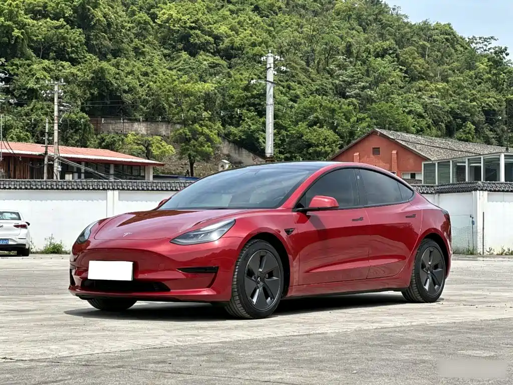 Tesla Model 3 2021 Facelift Standard Range RWD Upgrade 3D1