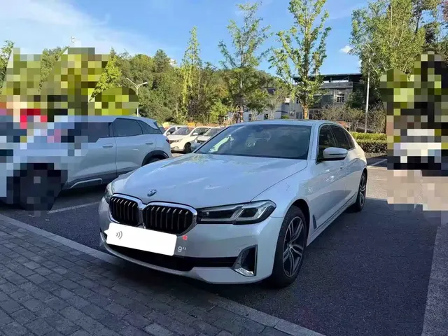 BMW 5 Series 2021 530Li Leading Luxury Package