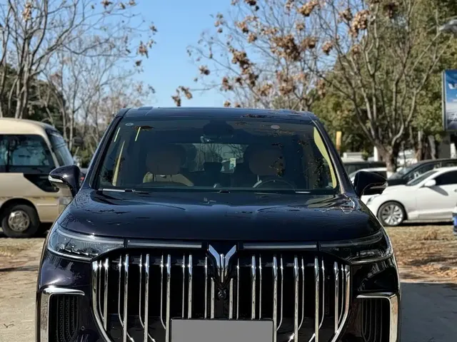 Voyah Auto Voyah Dreamer 2022 Low-carbon Dream+Smart Package