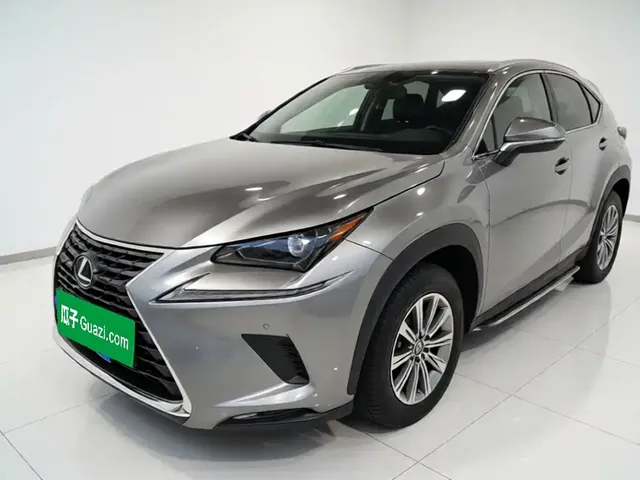 Lexus NX 2020 200 AWD F Sport China V