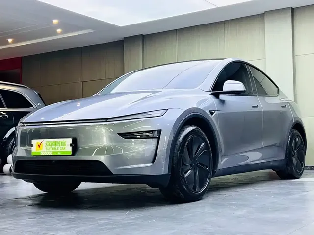 Tesla Model Y 2025 Rear-Wheel Drive