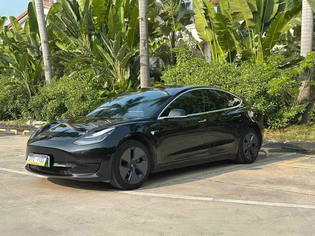 Tesla Model 3 2019 Standard Range Rear-Wheel Drive Upgrade