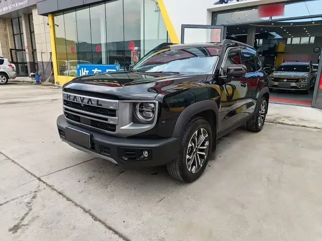 Haval Big Dog 2024 1.5T DCT Border Collie Edition