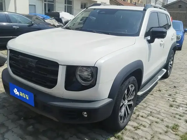 Haval Big Dog 2021 1.5T DCT 2WD Border Collie Edition