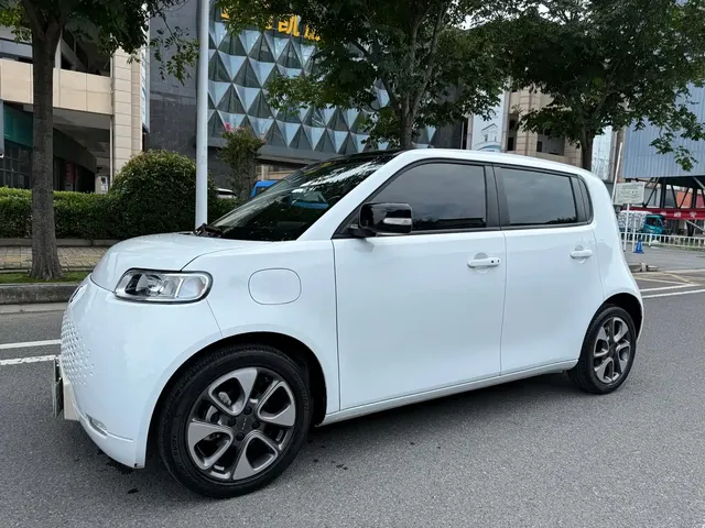 Ora White Cat 2020 305km Luxury