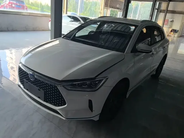 BYD e2 2021 Premium Model