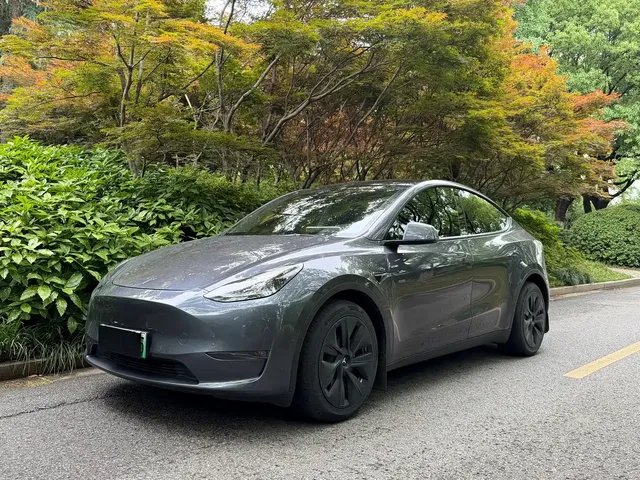 Tesla Model Y 2021 Long Range All-Wheel Drive 3D7