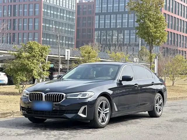 BMW 5 Series 2021 530Li Leading Luxury Package