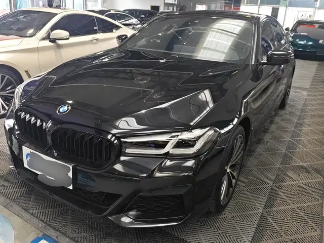 BMW 5 Series 2021 530Li Leading M Sport Package
