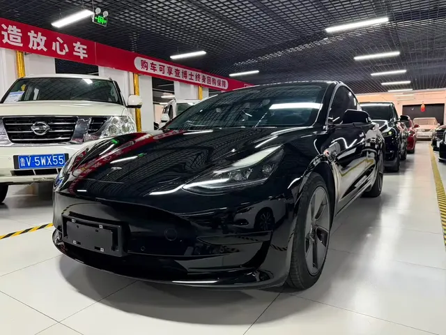 Tesla Model 3 2022 Model Rear-Wheel Drive Version