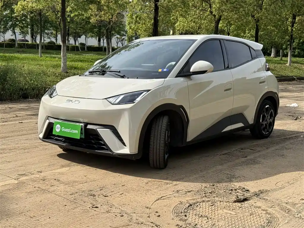 BYD Seagull 2024 Glory Edition 405km Soaring Edition