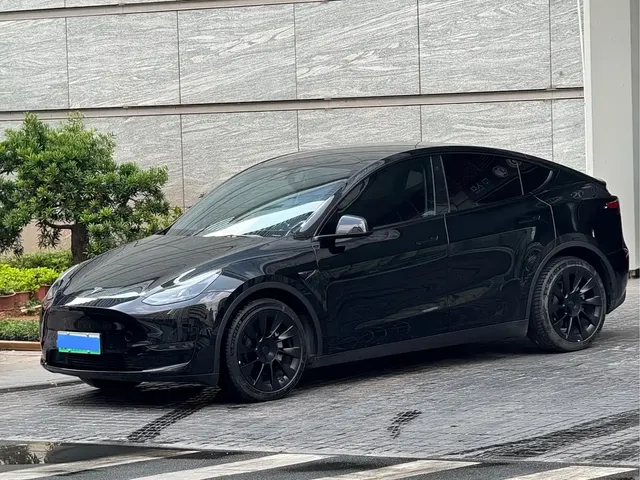 Tesla Model Y 2022 Rear-Wheel Drive Version