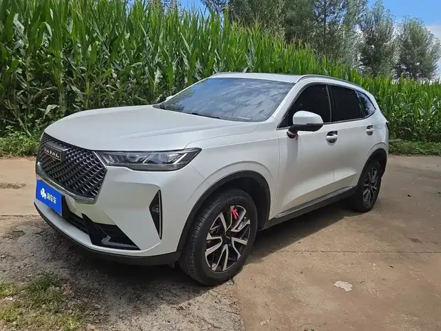 Haval H6 2021 3rd Gen 1.5T Auto 2WD Pro