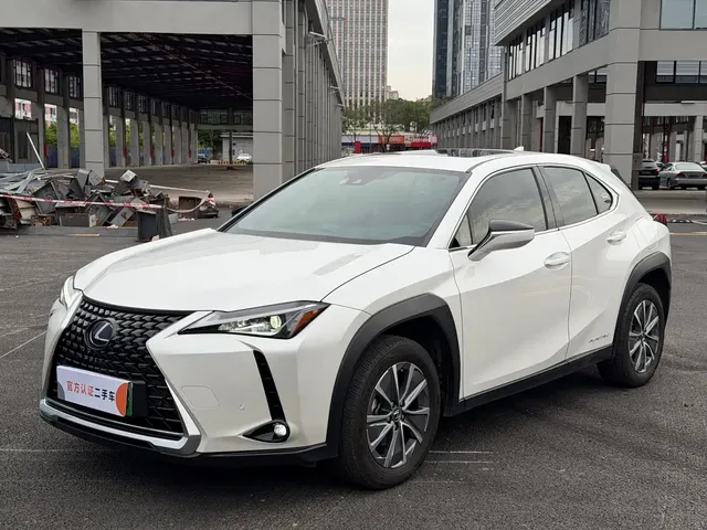 Lexus UX Electric 2020 300e Pure Yue Edition