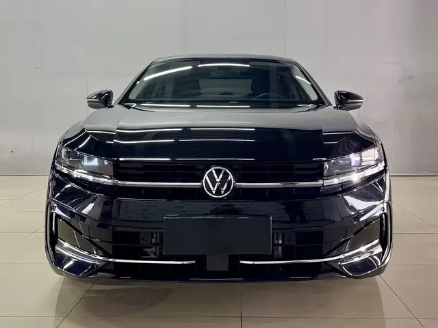 Volkswagen Magotan 2024 380TSI DSG Ultimate Edition
