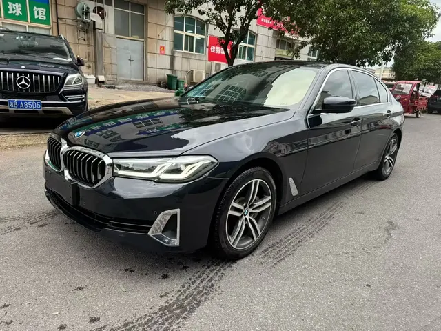 BMW 5 Series 2021 530Li Leading Luxury Package