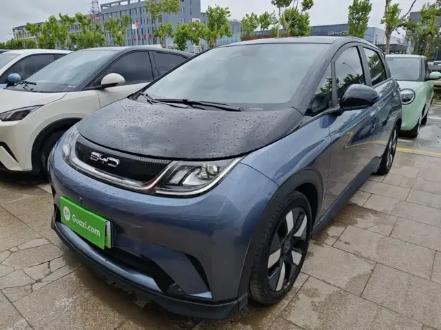 BYD Dolphin 2023 401km Knight Edition