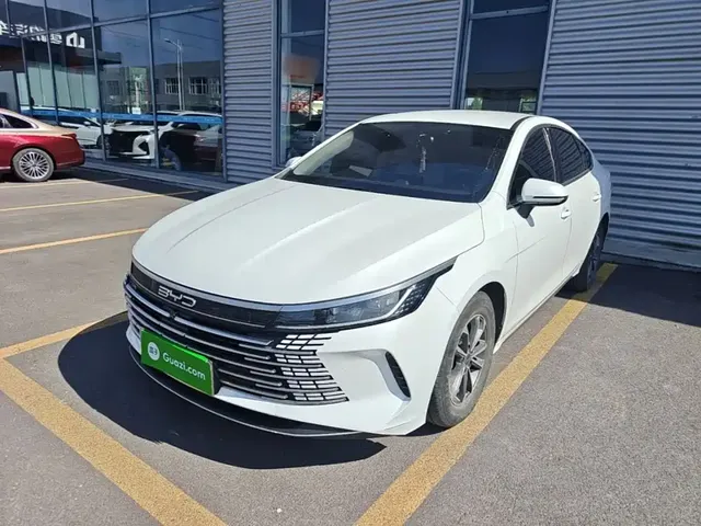 BYD Destroyer 05 2024 Glory Edition DM-i 55KM Luxury