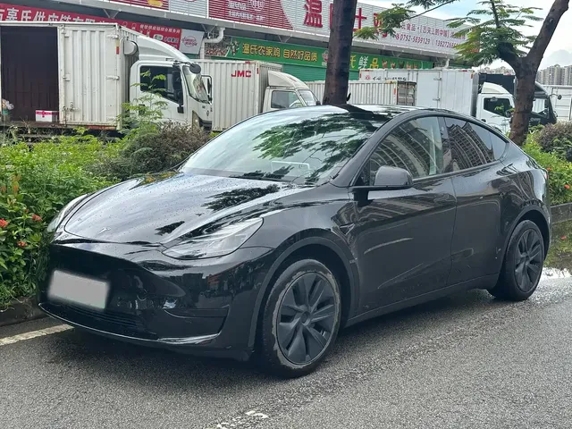 Tesla Model Y 2023 Rear-Wheel Drive Edition
