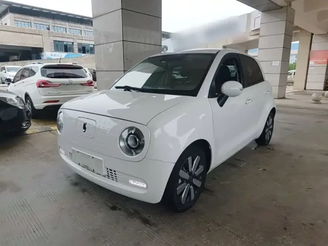 Ora Black Cat 2019 351km Family Edition