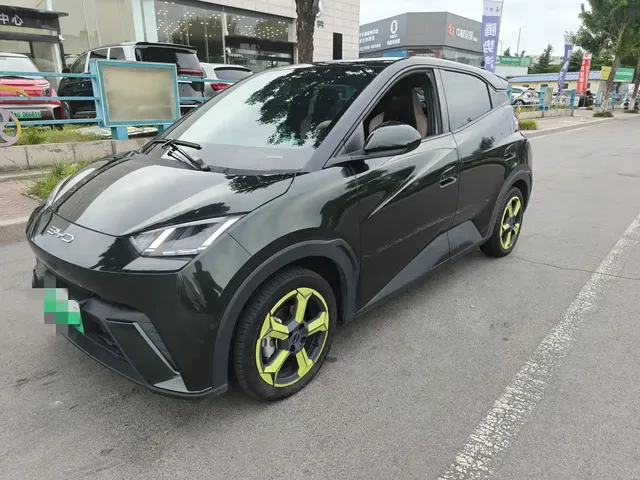 BYD Seagull 2024 Glory Edition 305km Freedom Edition