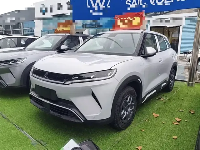BYD Yuan UP 2025 Model 301KM Navigator