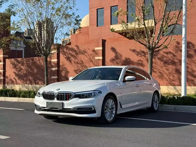 BMW 5 Series 2019 530Li Leading Luxury Package