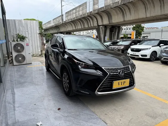 Lexus NX 2020 300 AWD F Sport China V