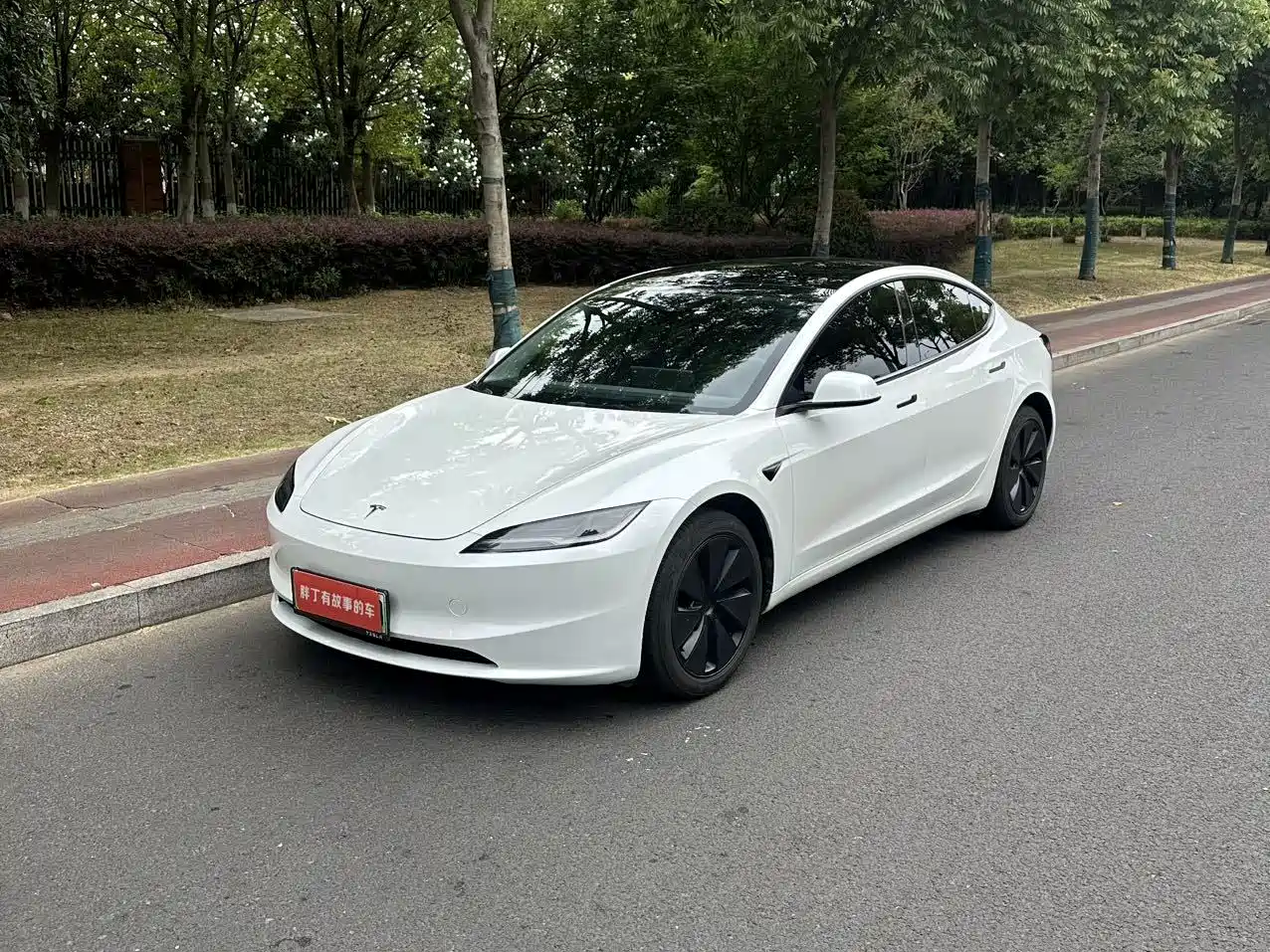 Tesla Model 3 2025 Model Rear-Wheel Drive Edition