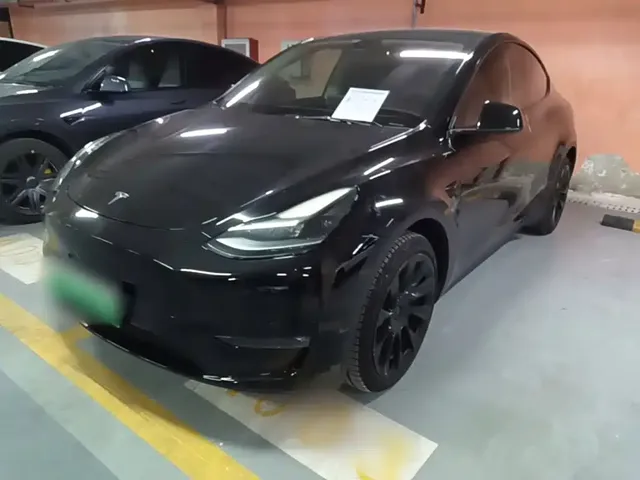 Tesla Model Y 2021 Long Range All-Wheel Drive 3D7