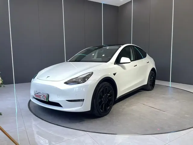 Tesla Model Y 2021 Long Range All-Wheel Drive 3D7