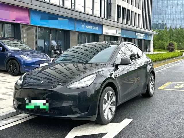 Tesla Model Y 2022 Rear-Wheel Drive Version