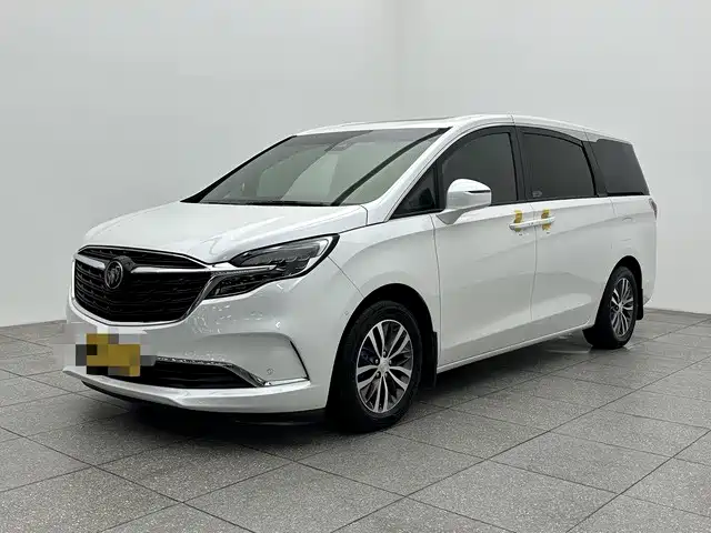Buick GL8 2022 ES Landmark 653T Premium